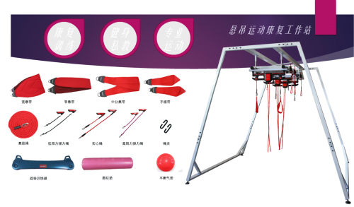 Adult type suspension training system