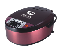 Braille voice intelligent rice cooker