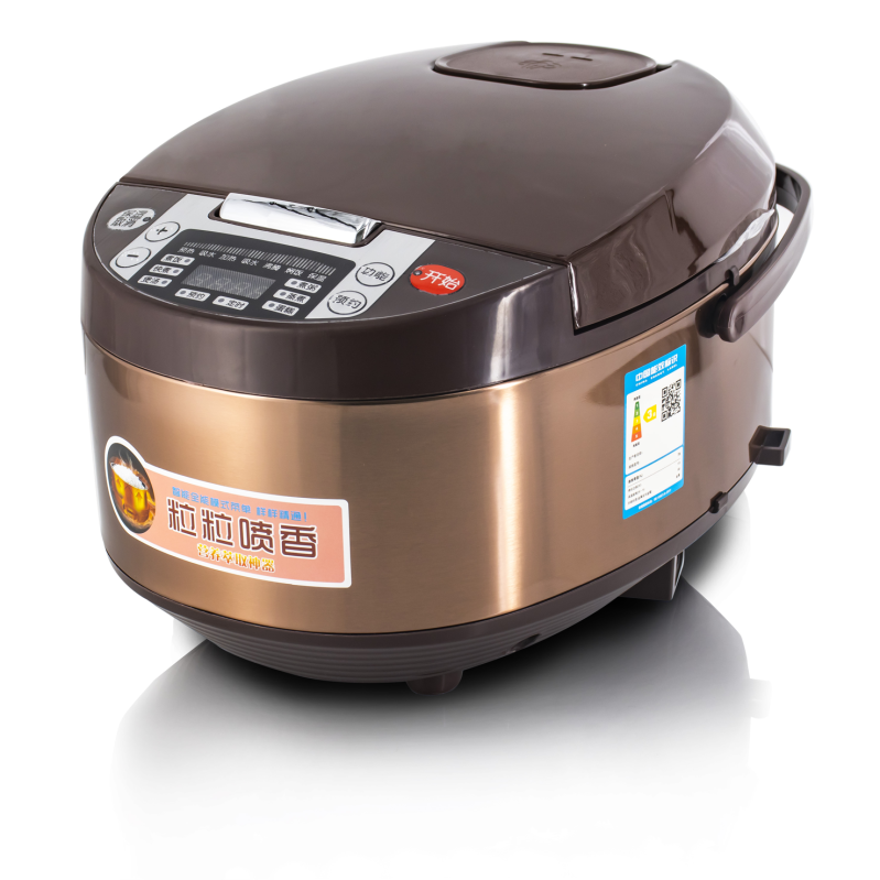 Braille voice rice cooker-