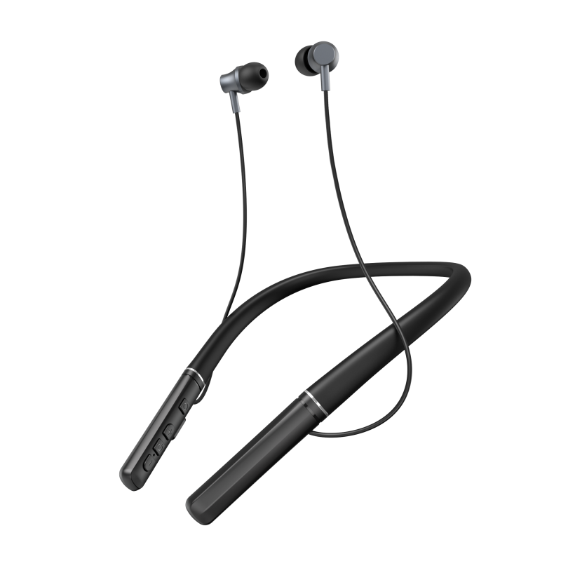 Digital Intelligent Hearing Aids-