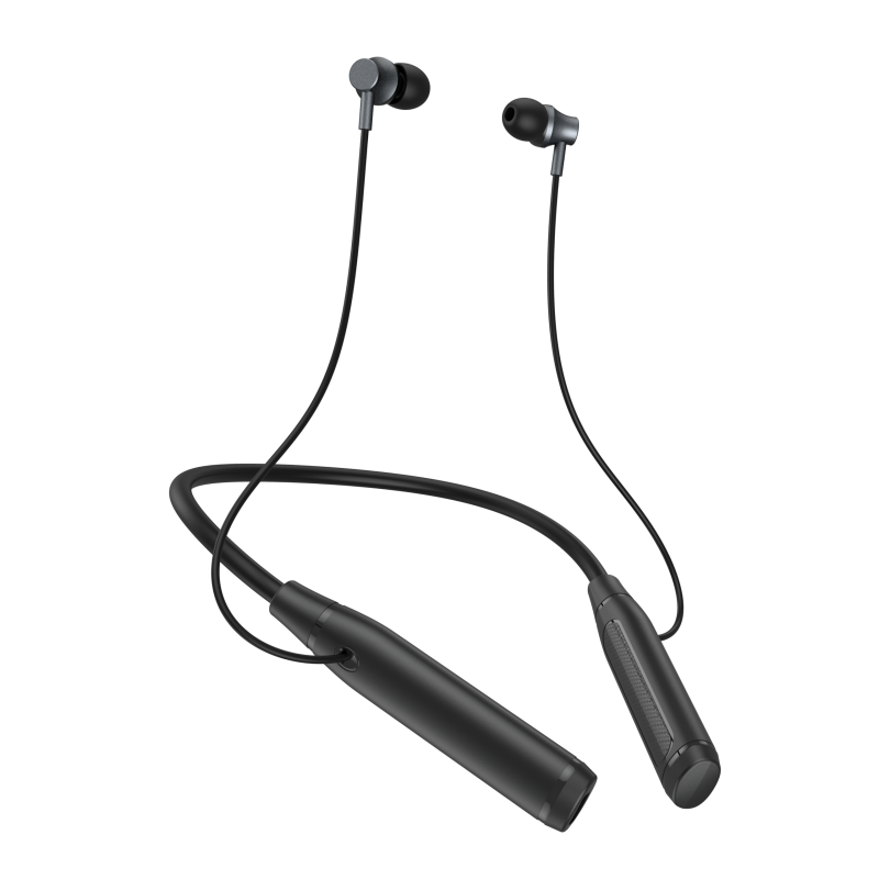 Digital Intelligent Hearing Aids-