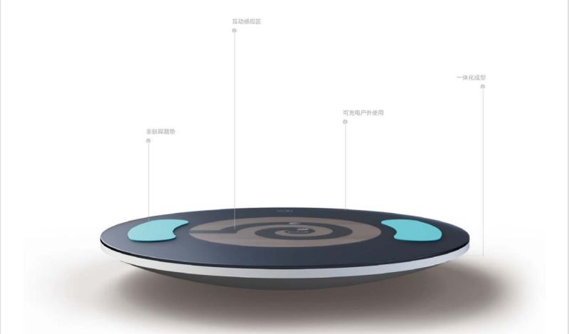 Sensory Integration Balance Trainer-